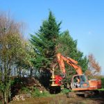 RABAUD XYLOCUT 310 PE | Fällgreifer für Bagger 13,0 bis 17,0 to. – Bild 4