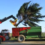 RABAUD XYLOCUT 300 | Fällgreifer für Teleskoplader – Bild 2