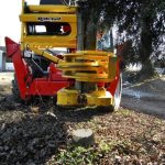 RABAUD XYLOCUT 300 | Fällgreifer für Teleskoplader – Bild 3