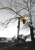 RABAUD XYLOCUT 300 | Fällgreifer für Teleskoplader – Bild 5